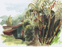 Kauai Artwork by Hawaii Artist Emily Miller - Plein Air, Kalihiwai Cottage