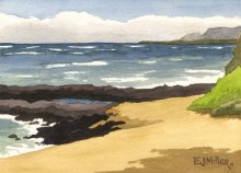 Kauai Artwork by Hawaii Artist Emily Miller - Plein Air at Bullshed beach