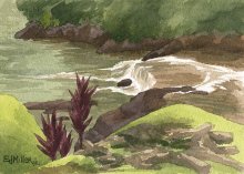 Kauai watercolor artwork by Hawaii Artist Emily Miller - Stream at Kilauea Stone Dam