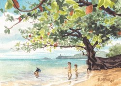 Under the Kamani Tree - Kauai watercolor painting