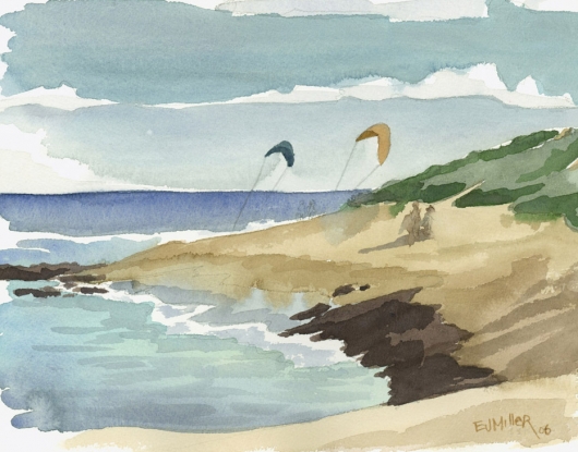 Plein Air at Mahaulepu - Hawaiian artwork by Emily Miller