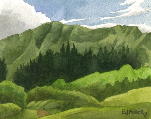 Cook Island Pines, Kahili Mountain Park Kauai watercolor painting - Artist Emily Miller's Hawaii artwork of green, mountains art