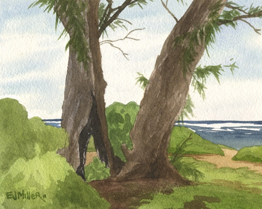 Kapaa Shoreline, Ironwoods Kauai watercolor painting - Artist Emily Miller's Hawaii artwork of tree, beach, ocean, kapaa art