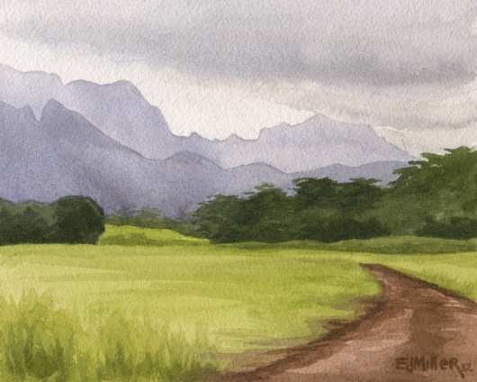 Afternoon mountains, Lihue Kauai watercolor painting - Artist Emily Miller's Hawaii artwork of mountains, pasture, lihue art