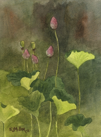 Lotus Buds Kauai watercolor painting - Artist Emily Miller's Hawaii artwork of flowers, lotus, NTBG art