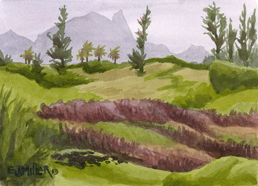 Mountain View from Donkey Beach Kauai watercolor painting - Artist Emily Miller's Hawaii artwork of kealia, kalalea art
