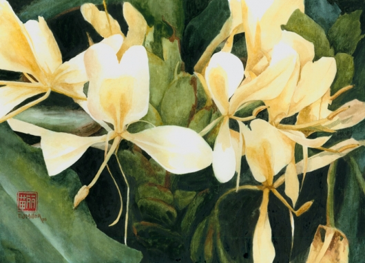 White Ginger Kauai watercolor painting - Artist Emily Miller's Hawaii artwork of flower, ginger, tropical flower, white ginger art