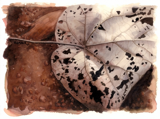 Brown Lace Kauai watercolor painting - Artist Emily Miller's Hawaii artwork of leaf, brown art