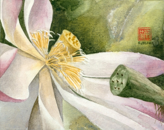 Lotus (Bloom) Kauai watercolor painting - Artist Emily Miller's Hawaii artwork of flower, lotus, NTBG art