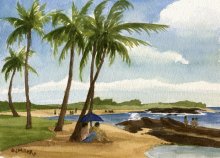 Kauai watercolor artwork by Hawaii Artist Emily Miller - North Baby Beach, Salt Pond