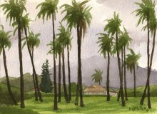 Kauai watercolor artwork by Hawaii Artist Emily Miller - Plein air, Through the coconut palms