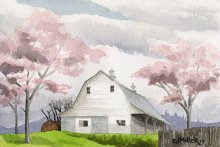 Cherry Blossom Barn - Hawaii watercolor by Emily Miller