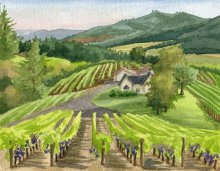 David Hill Winery, Oregon - Hawaii watercolor by Emily Miller