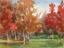 Fall Color - Hawaii watercolor by Emily Miller