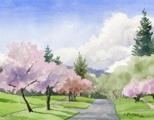 Cherry Blossom Road - Hawaii watercolor by Emily Miller