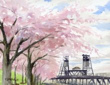 Cherry Blossoms at Portland Waterfront - Hawaii watercolor by Emily Miller