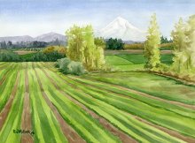 Mt Hood from Tualatin Valley - Hawaii watercolor by Emily Miller