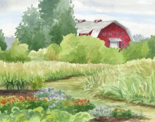 Red Barn at Luscher Farm, Oregon - Hawaii watercolor by Emily Miller