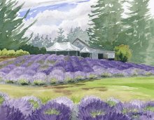 Mist at Wayward Winds Lavender - Hawaii watercolor by Emily Miller