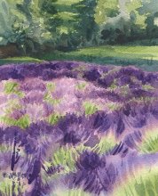 Lavender Study at Sunset - Hawaii watercolor by Emily Miller