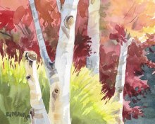 Autumn Sun on Maple and Birch Trees - Hawaii watercolor by Emily Miller