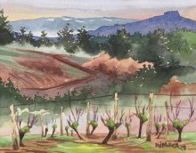 Mossy Vineyard at David Hill Winery - Hawaii watercolor by Emily Miller