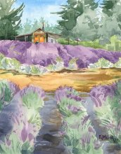 Lavender Breeze - Hawaii watercolor by Emily Miller