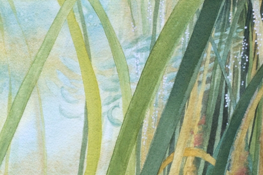 Detail, top right: Pacific herring spawning Protea Wreath, Still Life -  artwork by Emily Miller